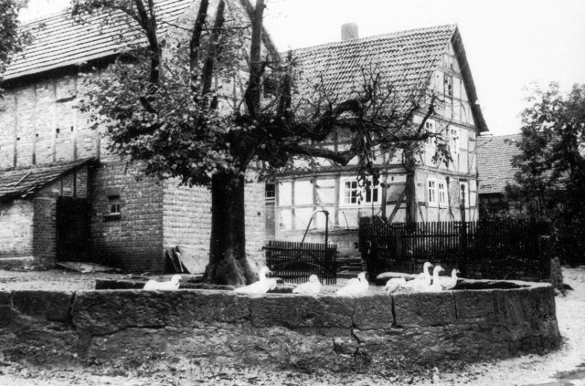 renda_in_der_vergangenheit_73_20160830_1925551617