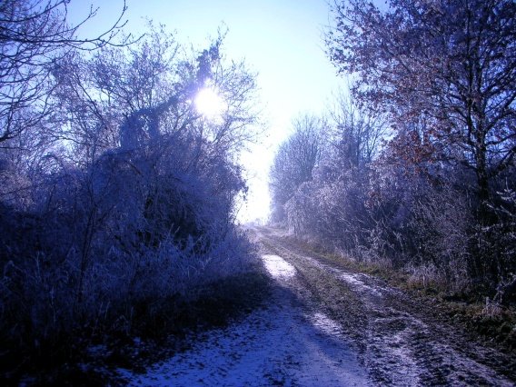 rundgang_raureif_winter_2007_10_20160830_1624830275