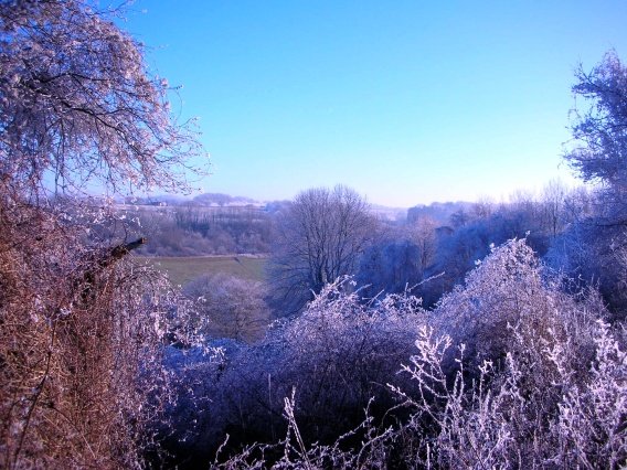 rundgang_raureif_winter_2007_13_20160830_1032478077