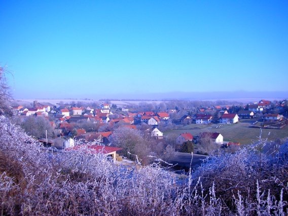 rundgang_raureif_winter_2007_15_20160830_1910729228