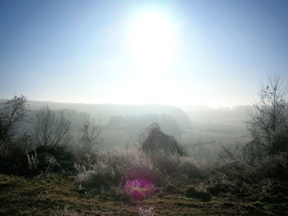 rundgang_raureif_winter_2007_24_20160830_1040001553