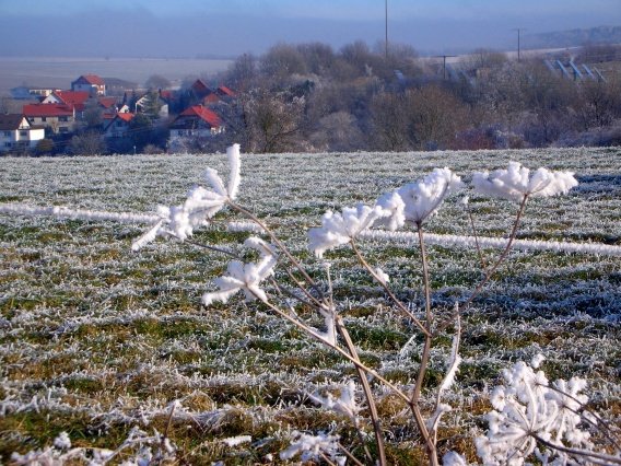 rundgang_raureif_winter_2007_28_20160830_2033342737