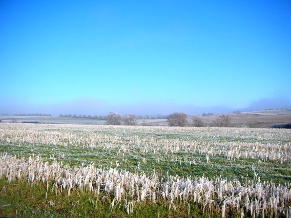 rundgang_raureif_winter_2007_43_20160830_1519490674