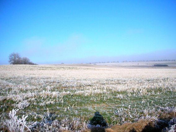 rundgang_raureif_winter_2007_45_20160830_1283810592