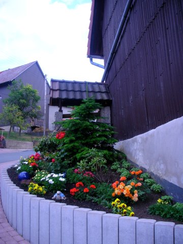 DSCN4377.JPG