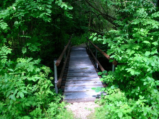 DSCN4380.JPG