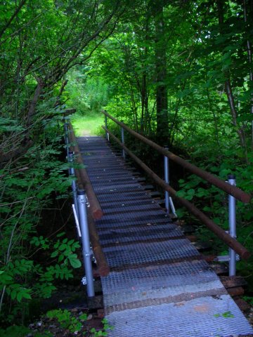 DSCN4381.JPG