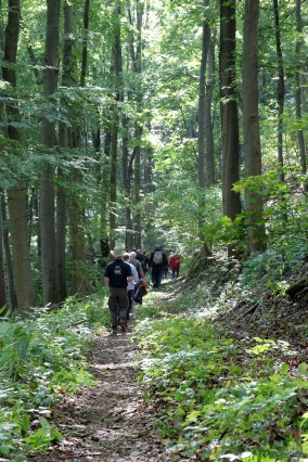 hr4_wandertag_in_grandenborn_100_20160830_1532815609