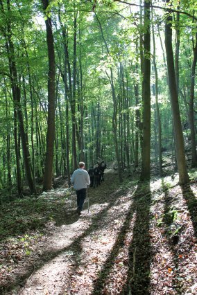 hr4_wandertag_in_grandenborn_104_20160830_2035255714
