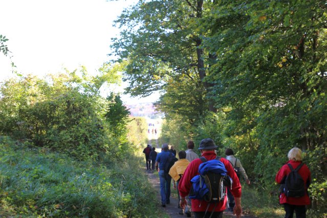 hr4_wandertag_in_grandenborn_117_20160830_1108839077