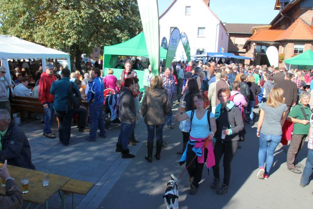 hr4_wandertag_in_grandenborn_136_20160830_1162116226