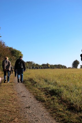 hr4_wandertag_in_grandenborn_26_20160830_1961873592