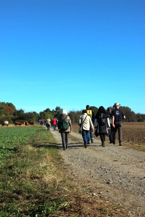 hr4_wandertag_in_grandenborn_30_20160830_1237752323