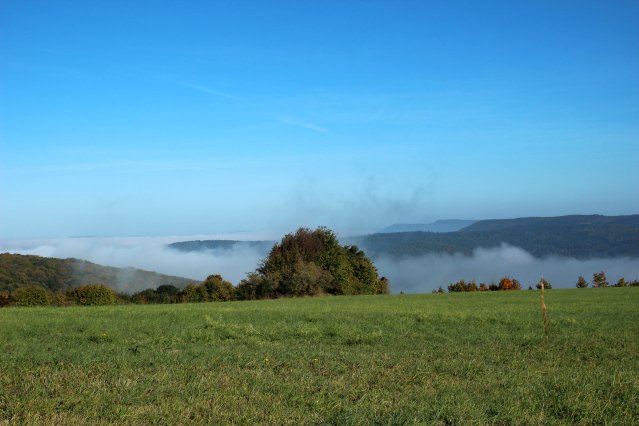 hr4_wandertag_in_grandenborn_41_20160830_1146907187