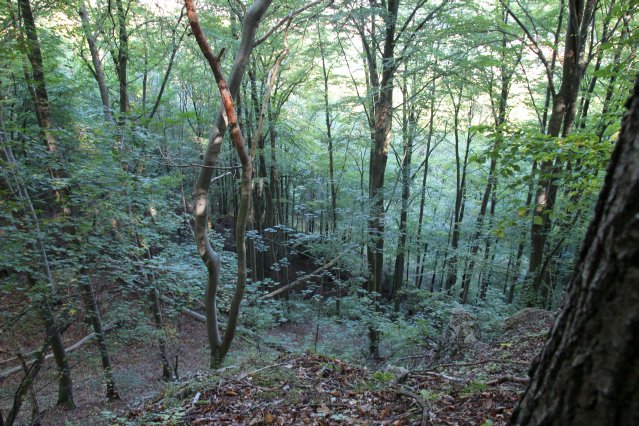hr4_wandertag_in_grandenborn_68_20160830_1484806158