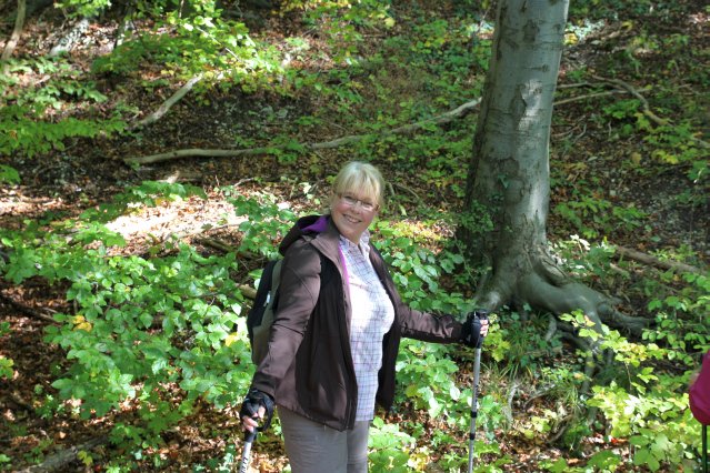 hr4_wandertag_in_grandenborn_75_20160830_1301812936