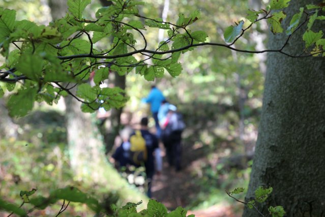 hr4_wandertag_in_grandenborn_77_20160830_2055874857