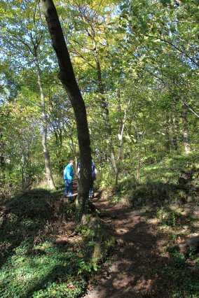 hr4_wandertag_in_grandenborn_78_20160830_1792830843