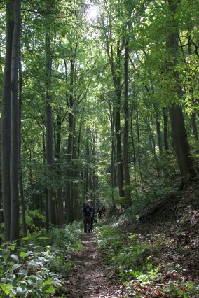 hr4_wandertag_in_grandenborn_99_20160830_1267316497