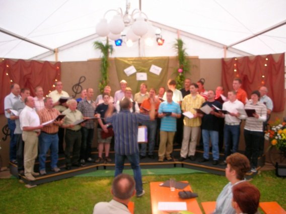 singen_im_park_2008_20_20160831_1274902753