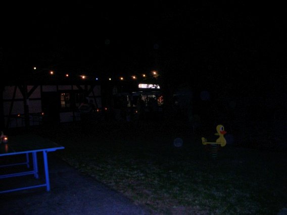 singen_im_park_2008_63_20160831_2042457817