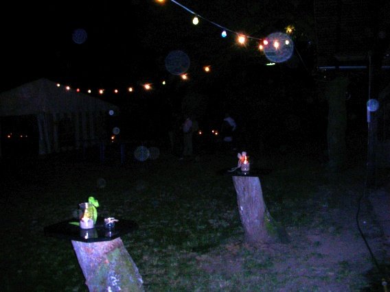 singen_im_park_2008_90_20160831_1826761070