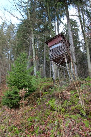 winterwanderung_2012_56_20160831_1476820520
