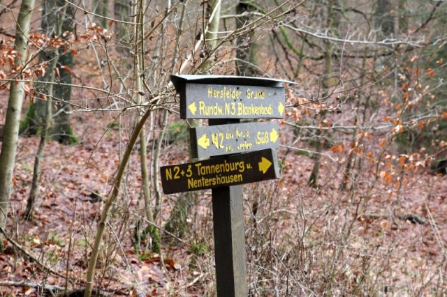 winterwanderung_2012_62_20160831_2038906341